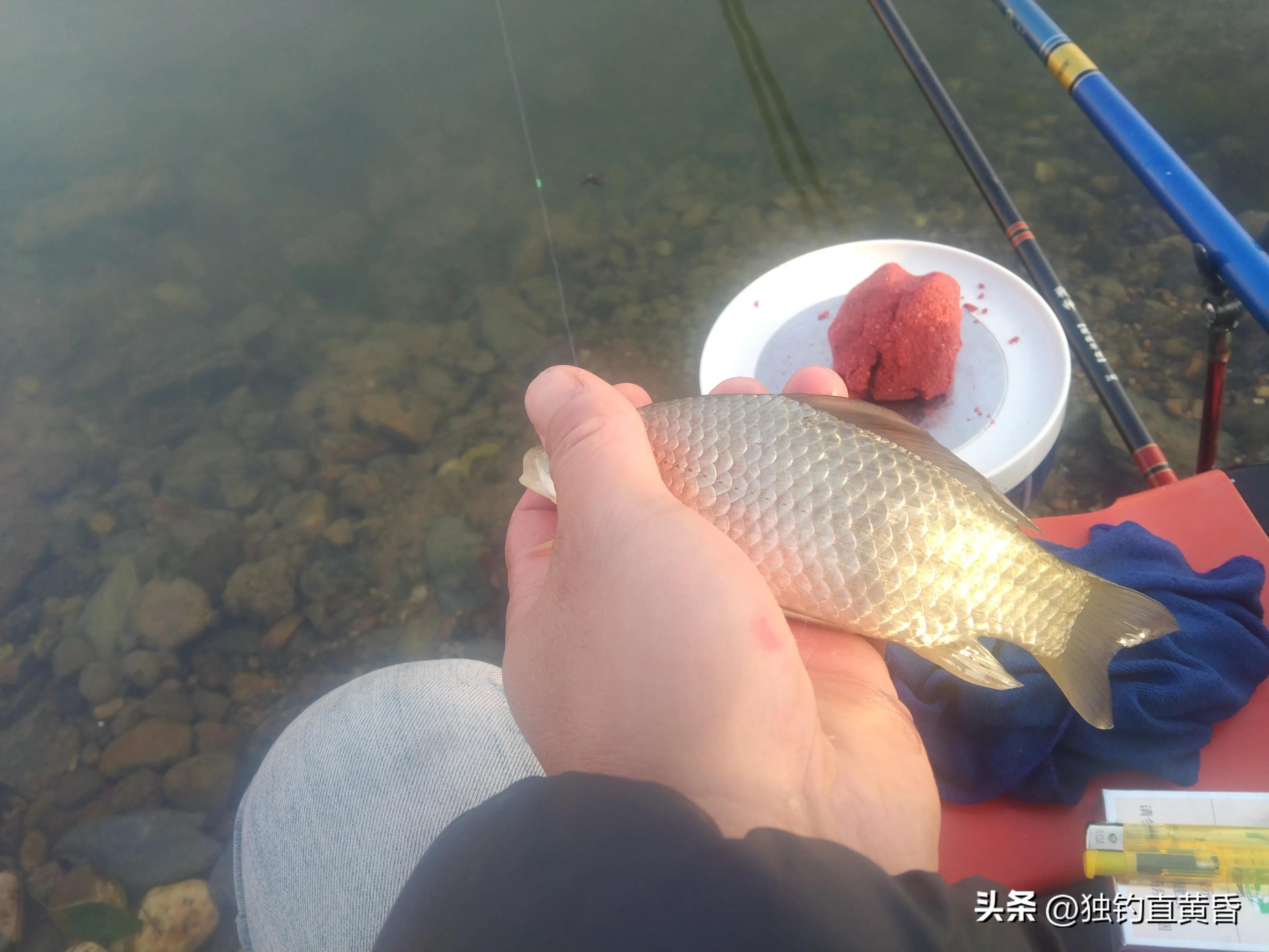 水面浮着一层落叶，不要下竿钓鱼
