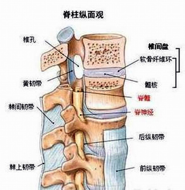 椎管狭窄的原因是什么?有什么症状?