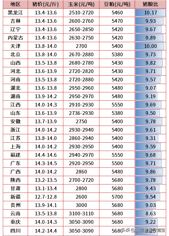 今日猪价是什么情况（今日猪价行情最新消息）