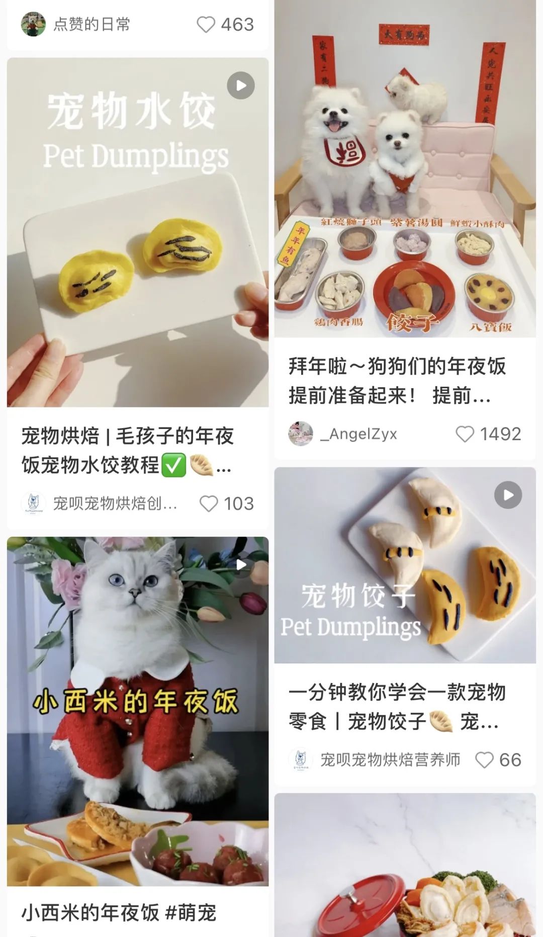 猫狗过节，掏空年轻人的钱包：美容500元，拍照花上千