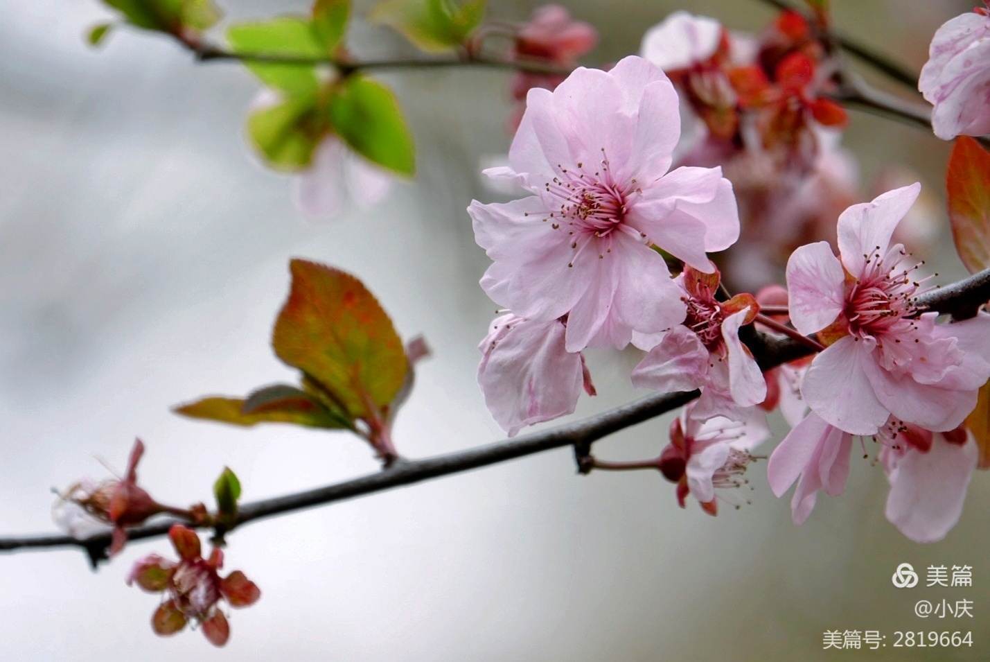 人生若顺境，愿你内敛锋芒；人生若逆境，愿你淡然处之