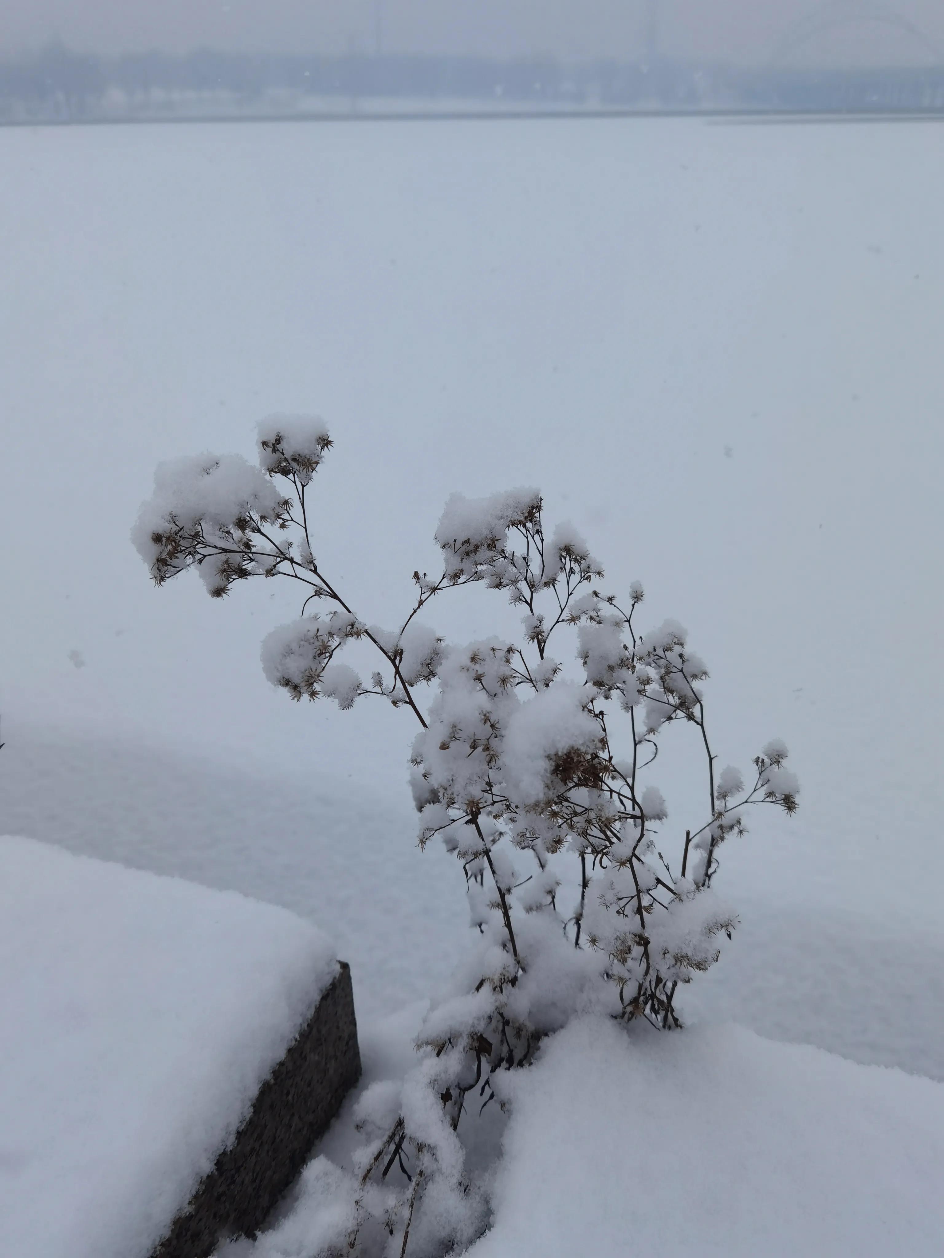 家乡寻冰觅雪，为祖国冬奥会加油