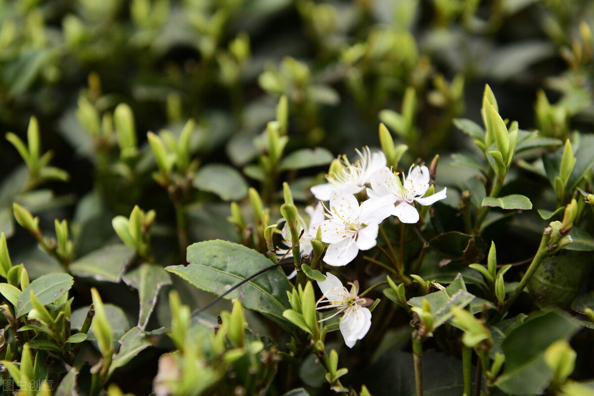 既然是自己定的目标，那就自己用全力努力一把