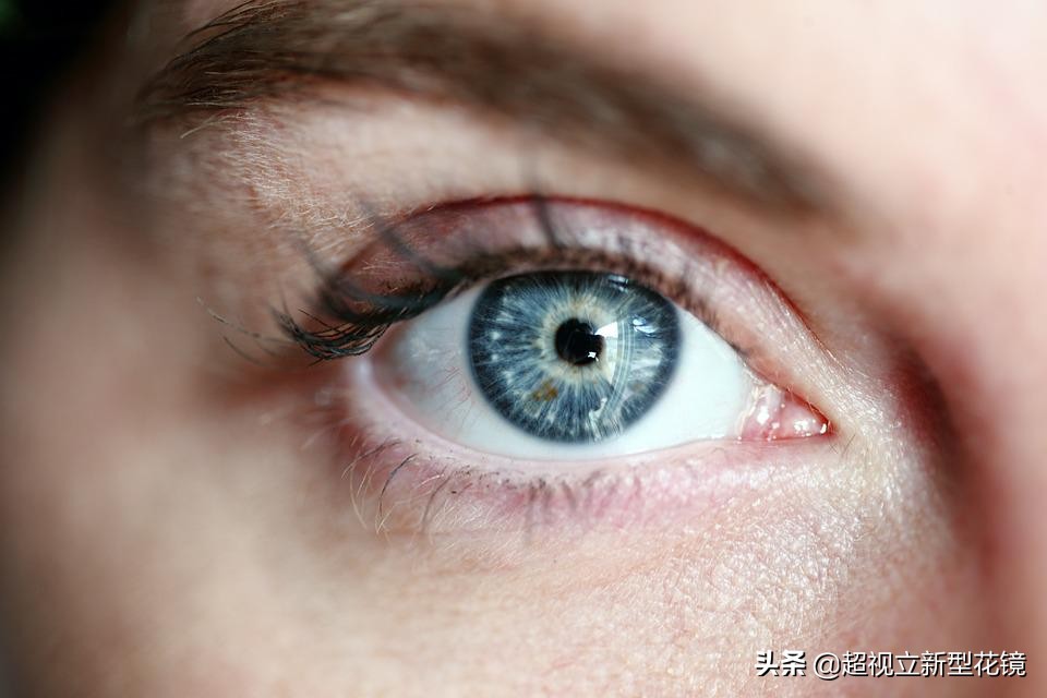 眼睛疲劳吃什么 日本眼科医生推荐6大营养素保养眼睛