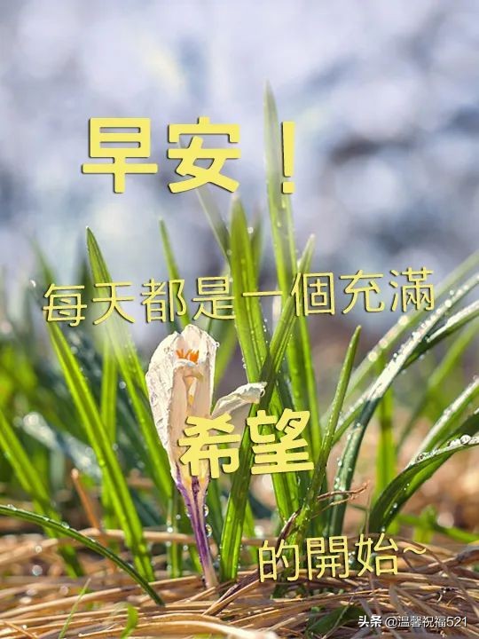 4月13日早上好祝福语优美句子，祝您天天好心情，事事都顺利