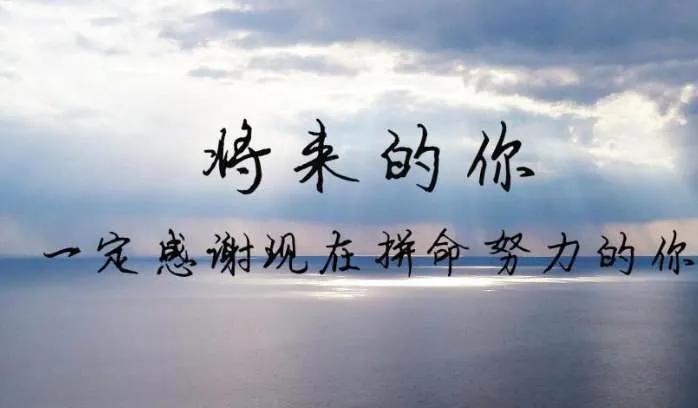 用心生活，温柔前行，每一个平凡的日子都值得被认真对待。