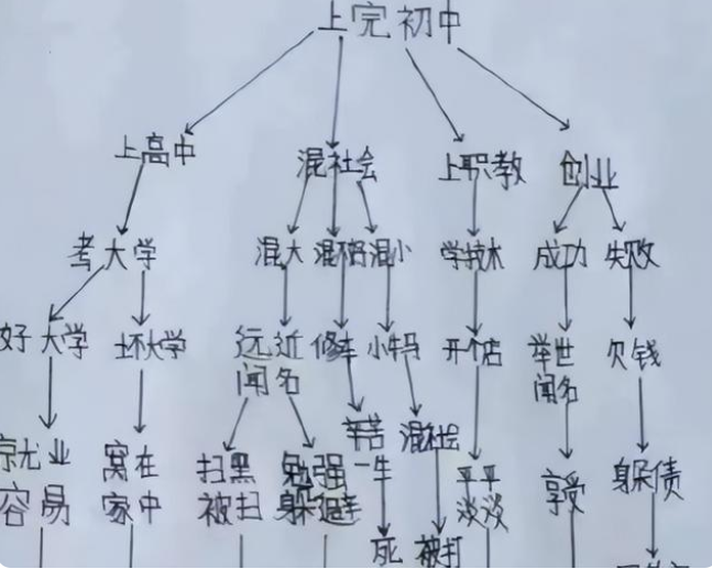 小学生人生规划走红，每个选择对应不同人生，网友：一股清流