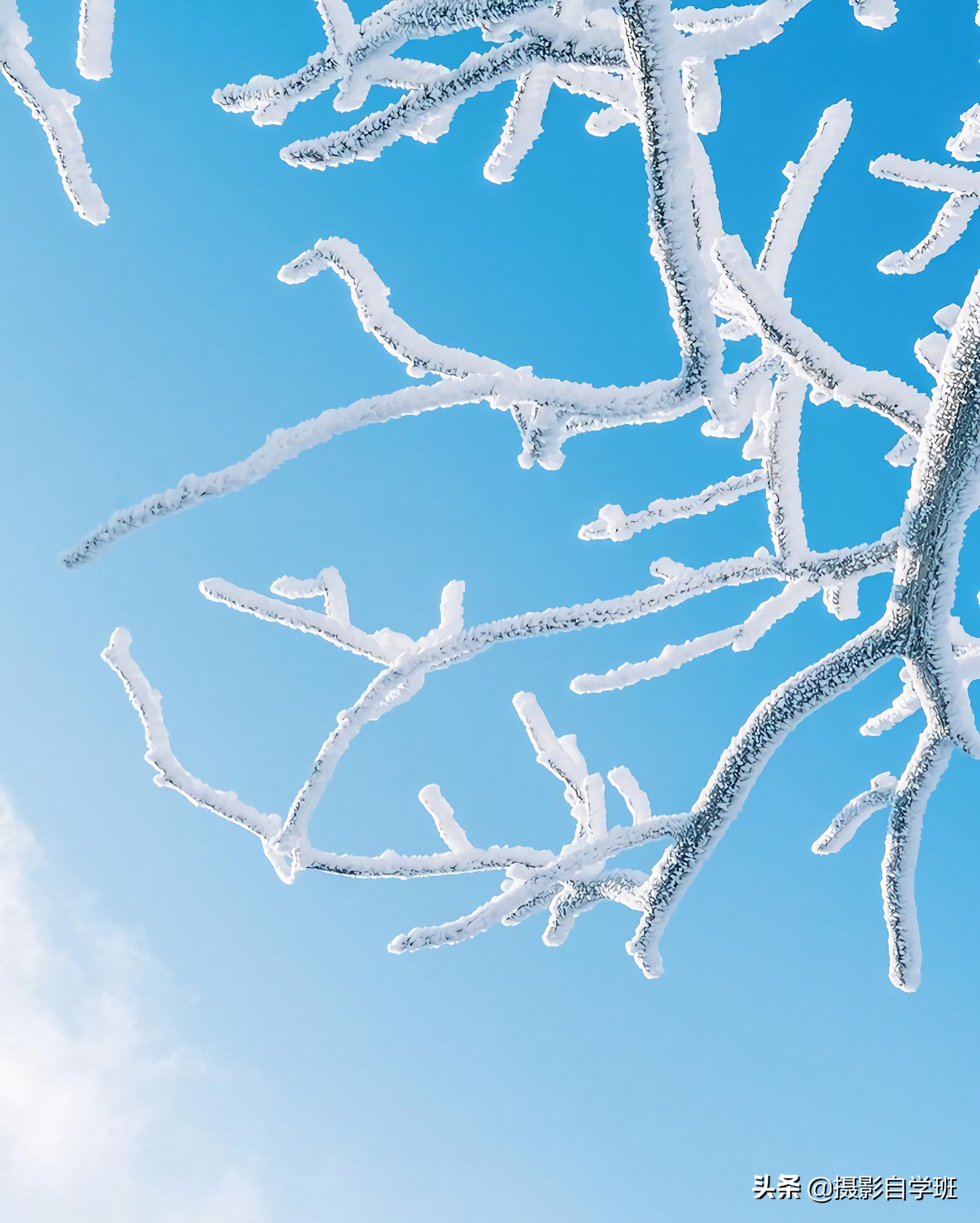 雪景拍照姿势大全图片(冬天拍照片相当美) - 赤虎壹号