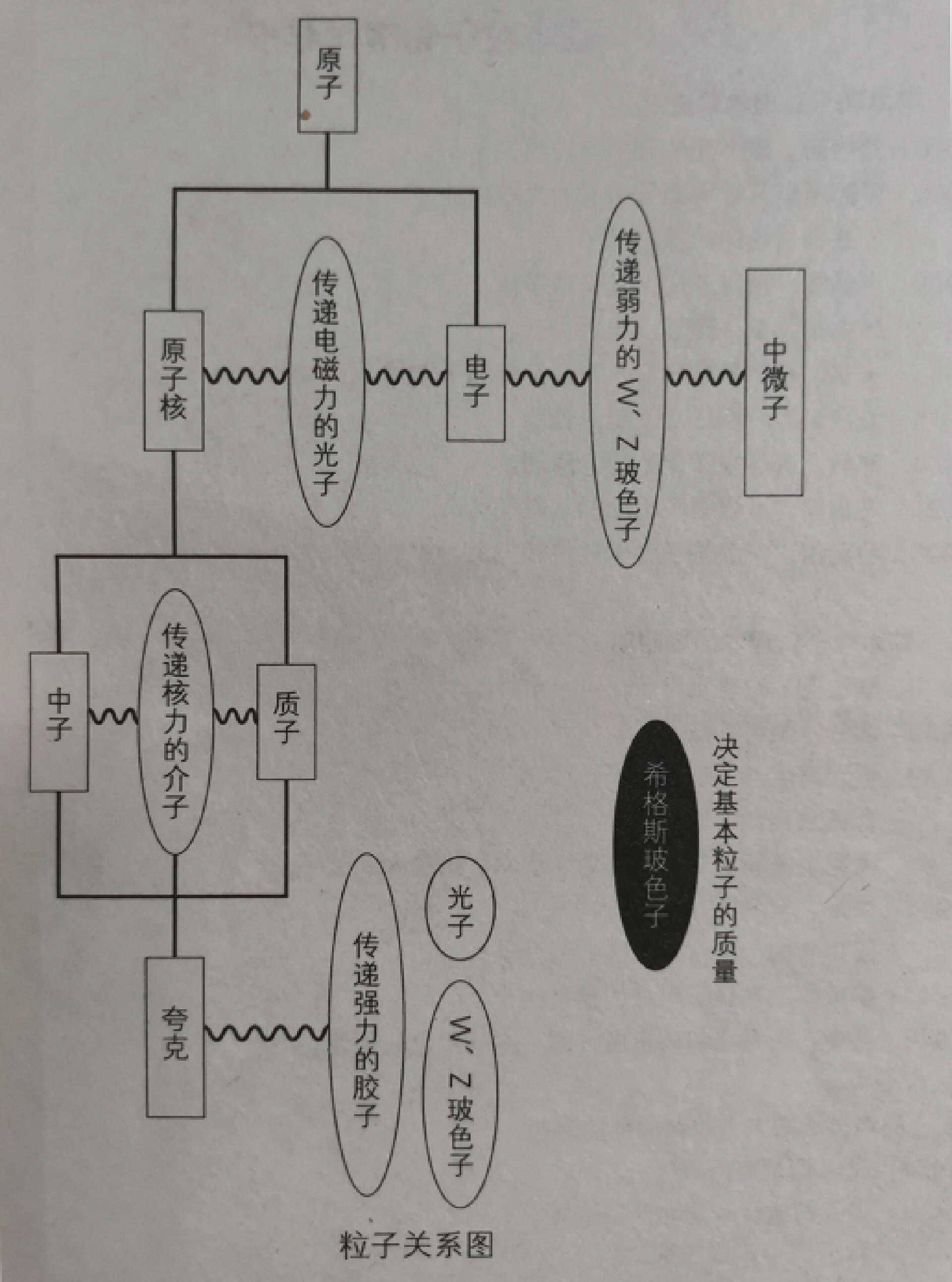 “2021感动中国年度人物”授予了杨振宁，可你根本不了解他的伟大