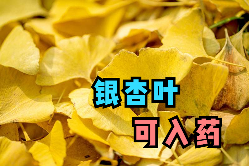 鼻炎，鼻窦炎反反复复？送你2个中医调理的思路，减少复发