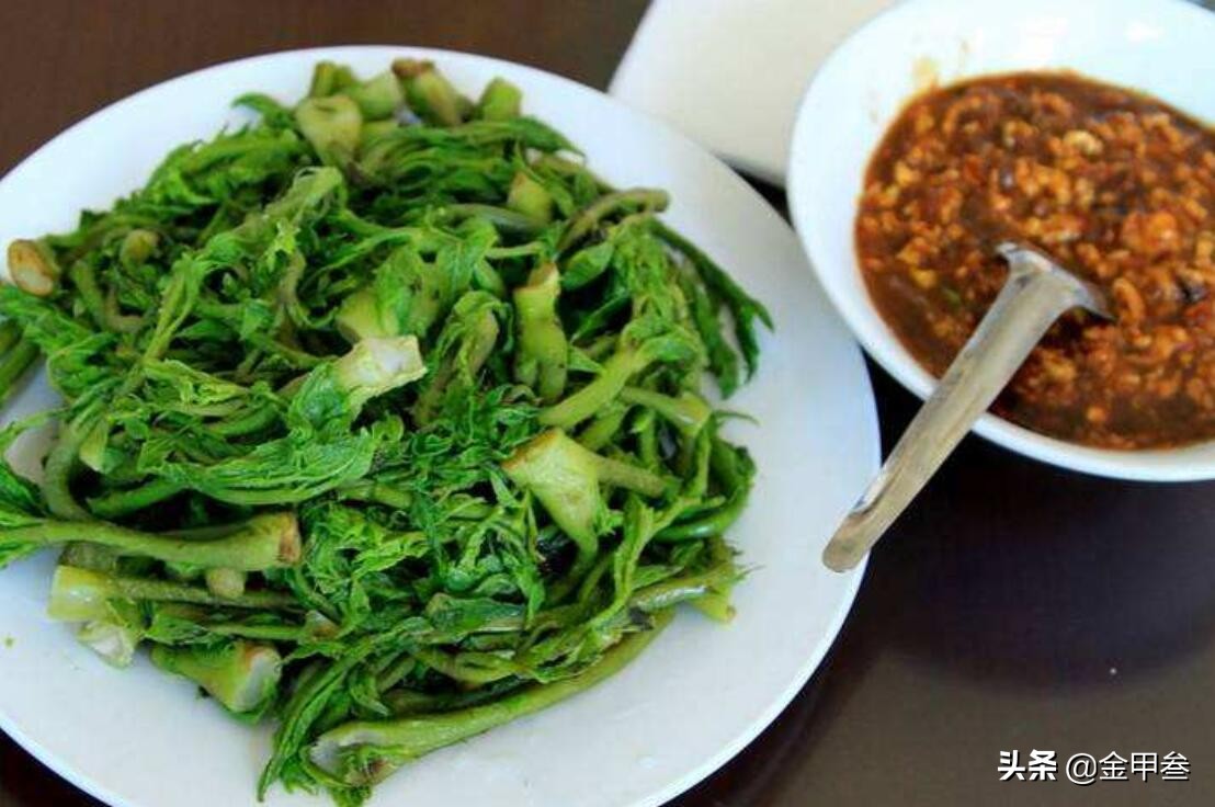 在东北,开春时节上市最贵的山野菜,便是刺嫩芽.