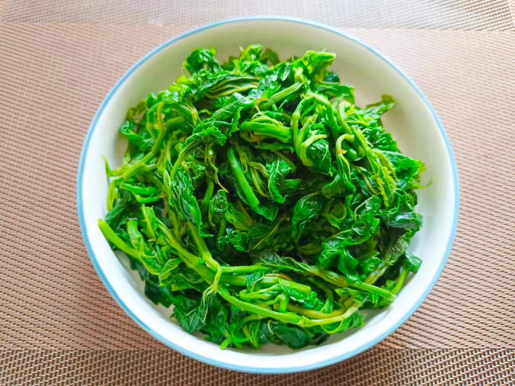 春天不要忘记给准备高考的孩子吃桑叶，补充营养，助力考出好成绩