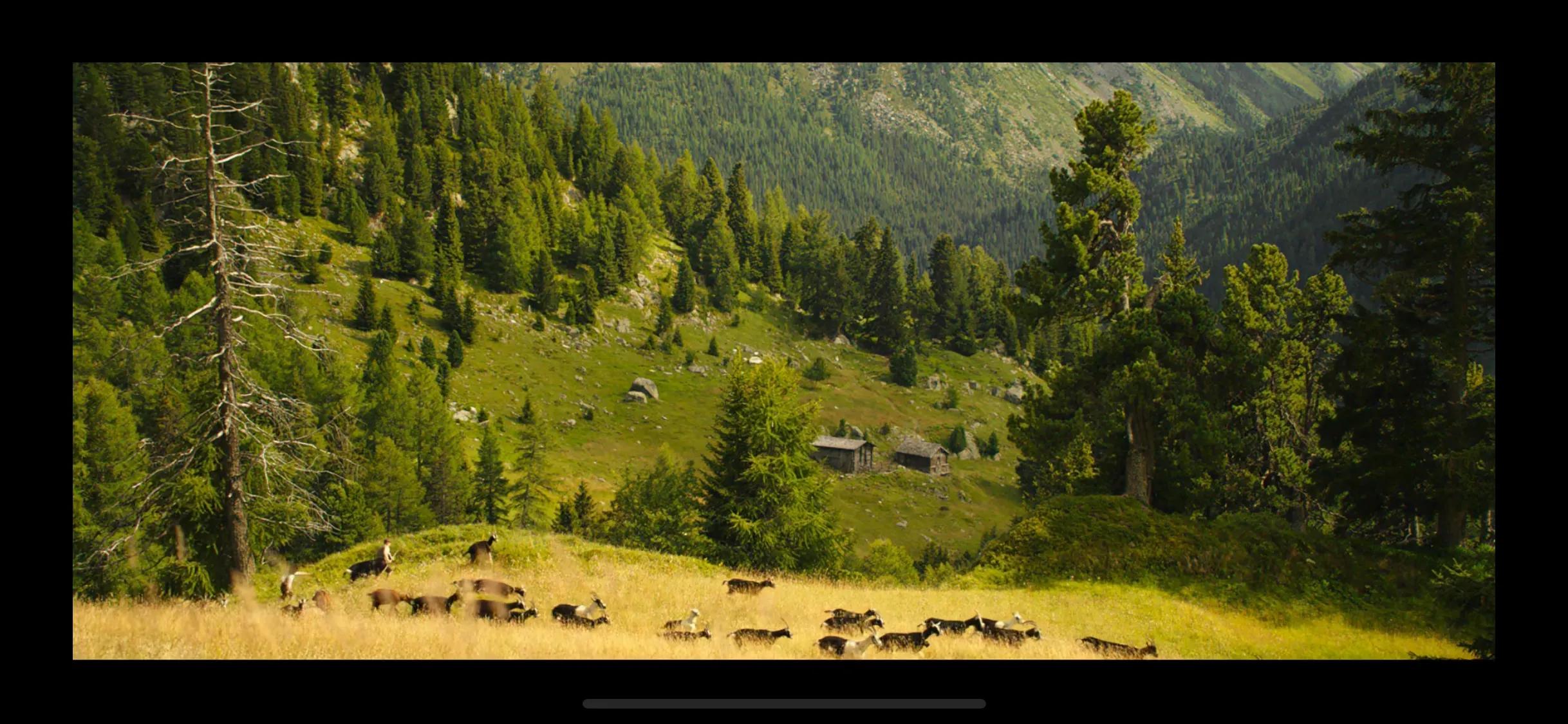 《海蒂和爷爷》- 给你的心灵和眼睛做个SPA