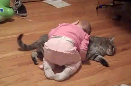 猫咪半夜蹦迪，如何友好地将TA请出卧室