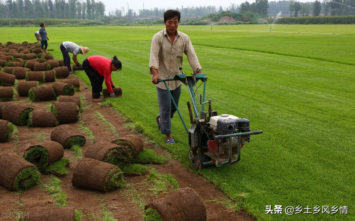 种植这几类农作物亩收入在万元以上，最后2种亩收入可达3万元