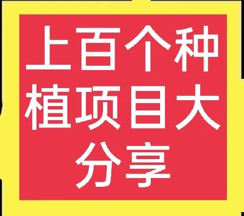 谁说种植项目不赚钱？这一百多个种植项目就很不错，值得推荐