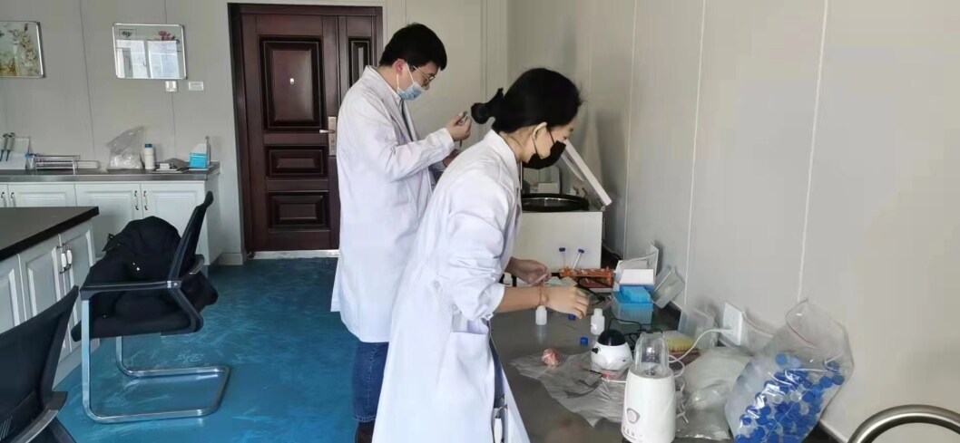 放心吃！全市“菜篮子”货量充足价格平稳