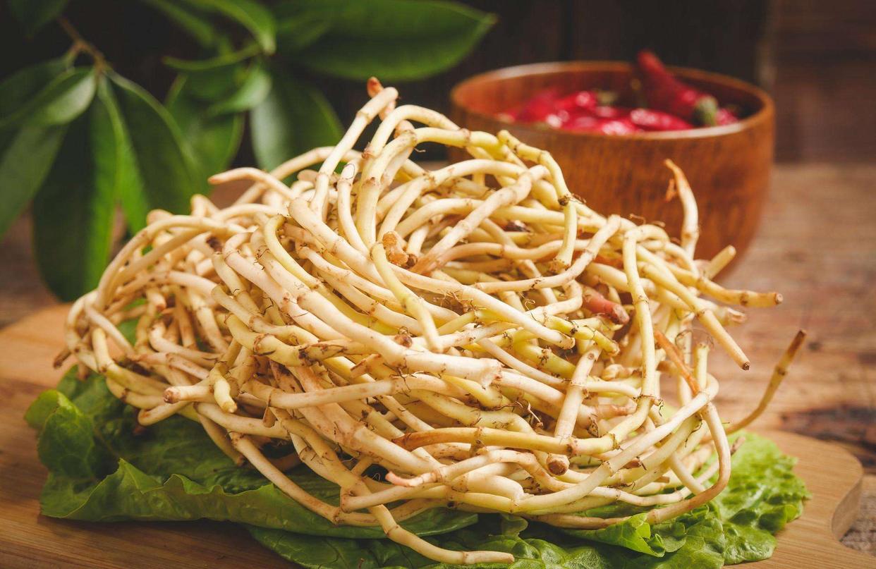 鱼腥草含"马兜铃酸",有肾毒还会致癌,这是真的吗?告诉你答案