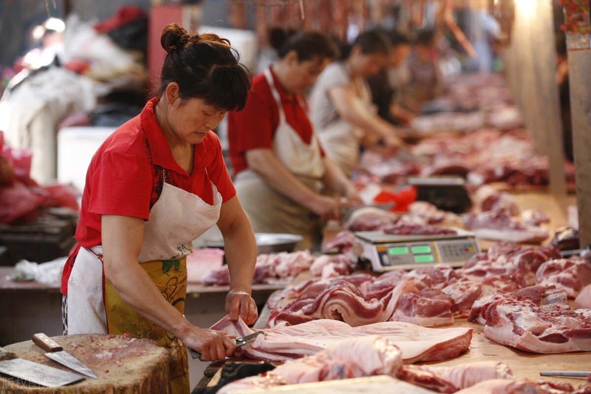生猪价格全面飘红，猪价开始反弹上涨，1月17日全国最新生猪行情