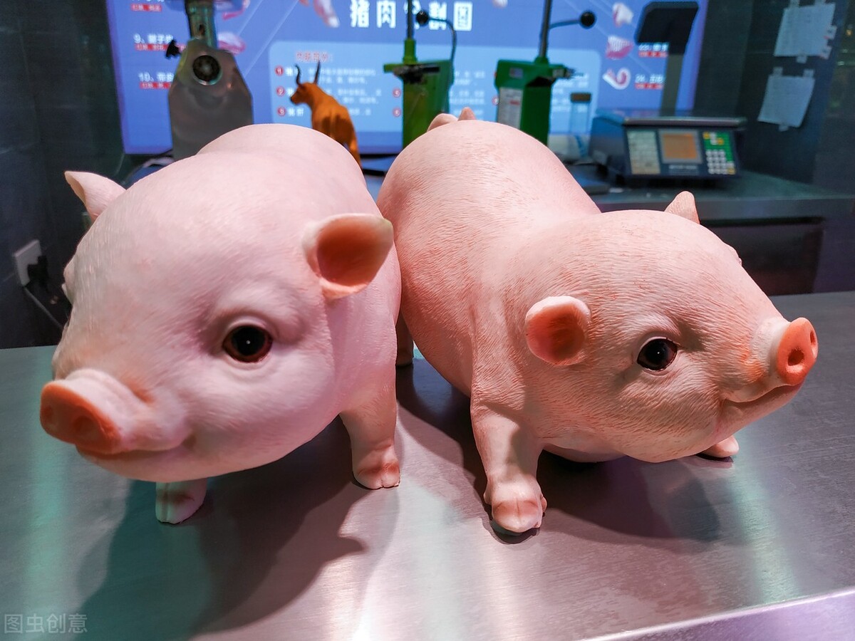 今年的猪价就是在陪二次育肥“玩耍”，春节前还能涨吗？落价