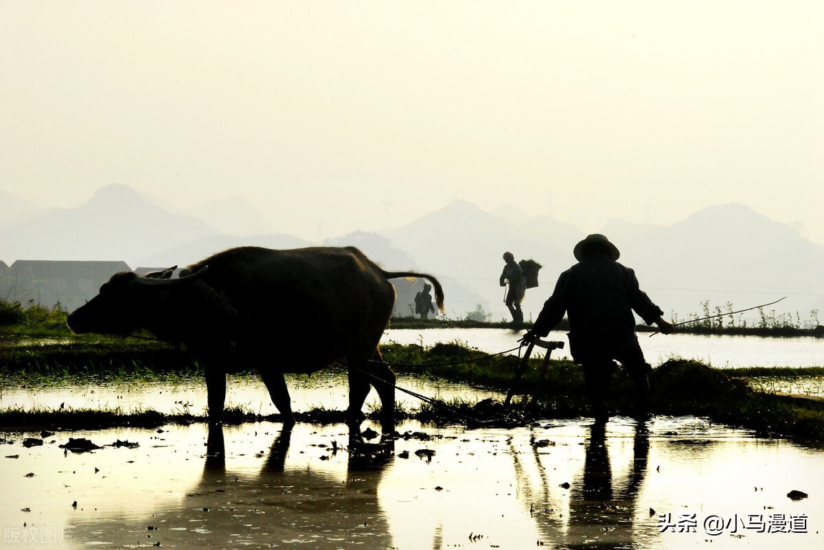 逐梦方舟：高考成绩超过大专线，为何却收到中专录取通知单？