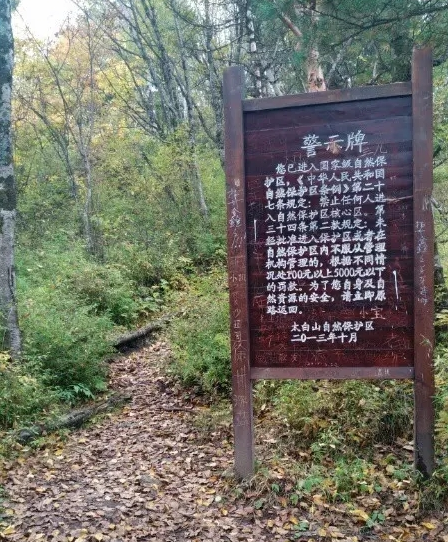 又有驴友擅闯秦岭禁地！95后女诗人遇难，5年死亡46人仍屡禁不止