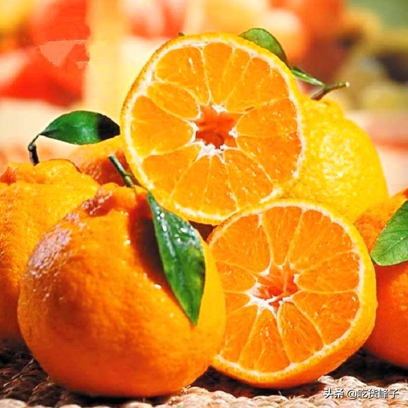 粑粑柑和丑橘区分方法（粑粑柑和丑橘两个不同点）