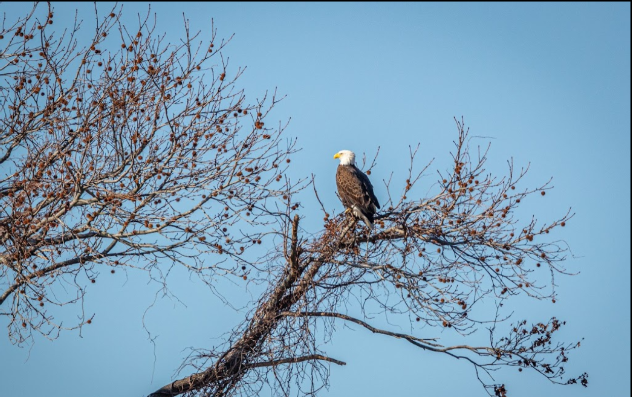自驾北美——美国第二最小州：特拉华州