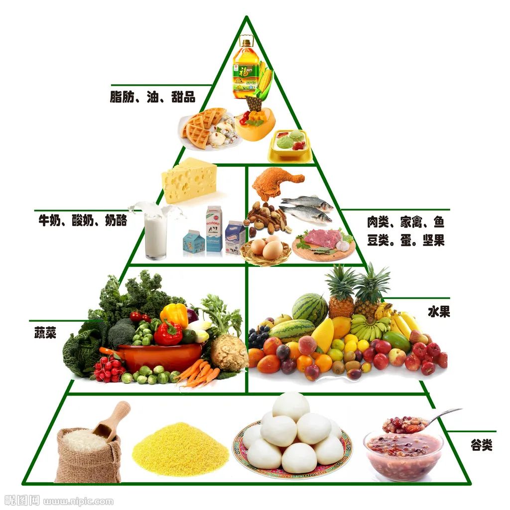 通过「营养金字塔」来学习申论大作文分论点写作
