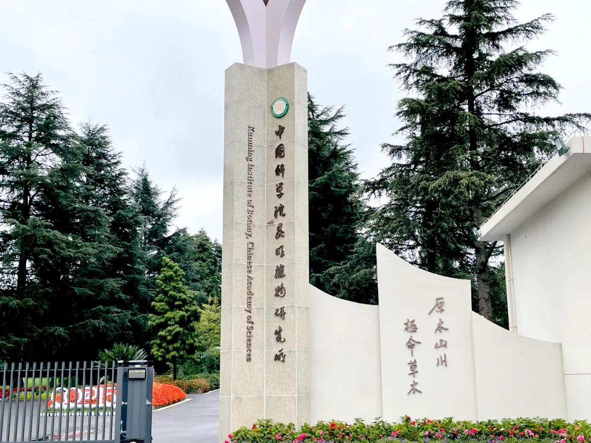 昆明三公园C位出道：一个野性十足，一个文化厚重，一个拼多样性