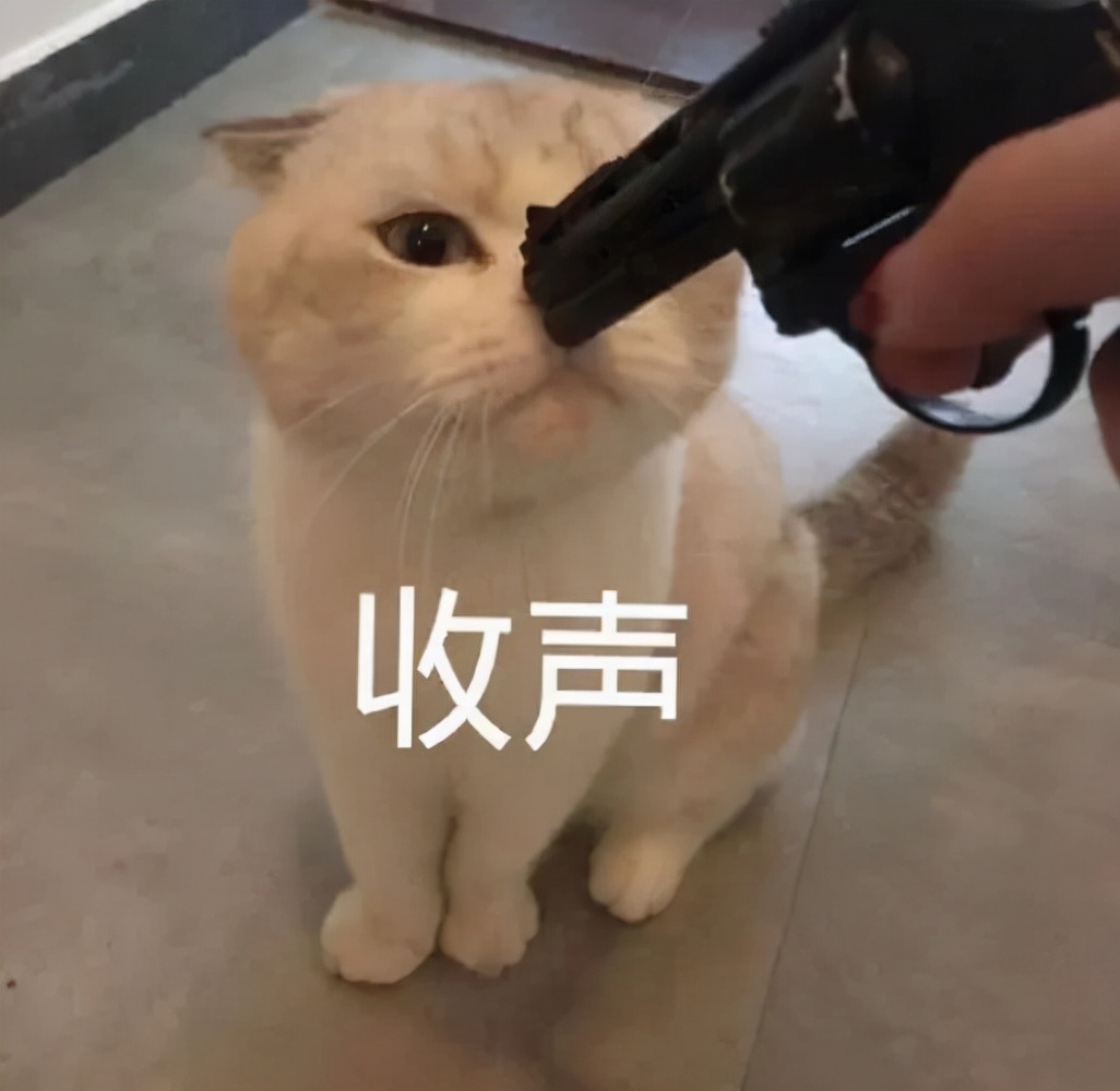 猫嘴巴臭怎么处理（猫咪口臭的5大原因和预防措施）