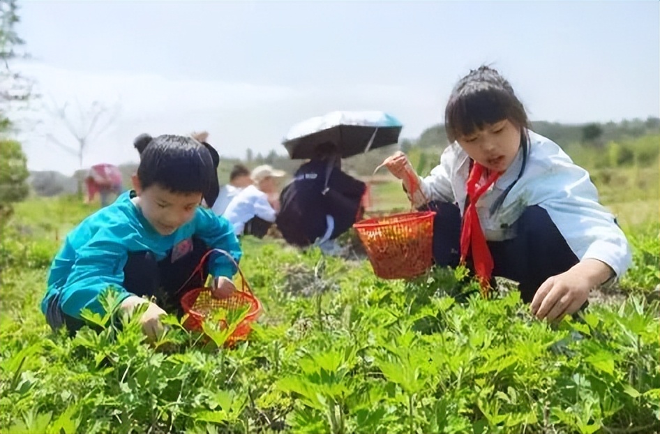 骑马、种茉莉、做香囊，治愈系亲子游，到郊野安安静静过一天