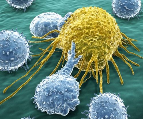 白细胞计数和癌症:您需要知道的