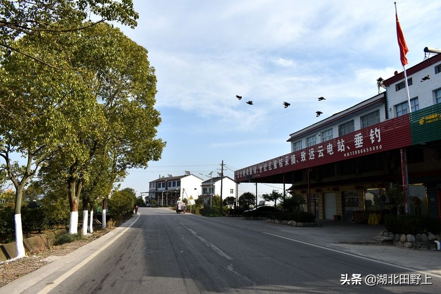 見(jiàn)證一個(gè)柑橘產(chǎn)業(yè)大村——鴉鵲嶺鎮(zhèn)云臺(tái)村回訪小記