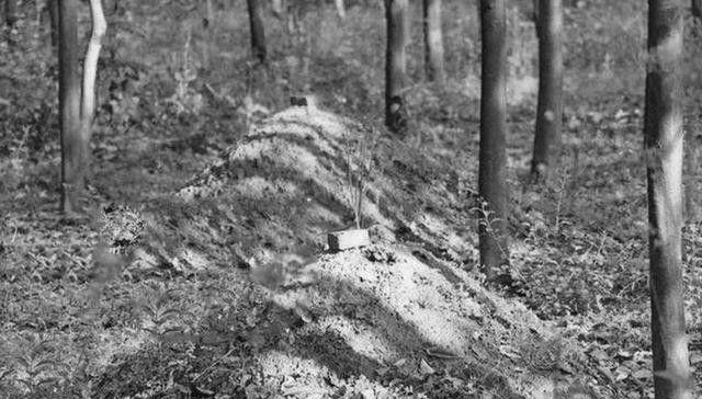 14岁湖南少女猝死，次日尸体却离奇失踪，24年后竟在四川“复活”