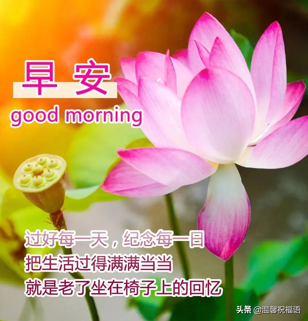6月12日最美早上好问候图片,新的一天早安心语句子