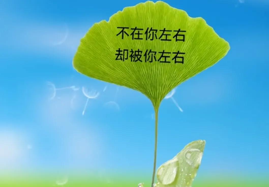 我还没爱够，却已不敢再爱，怕心碎成灰，连回忆都怕惊动。