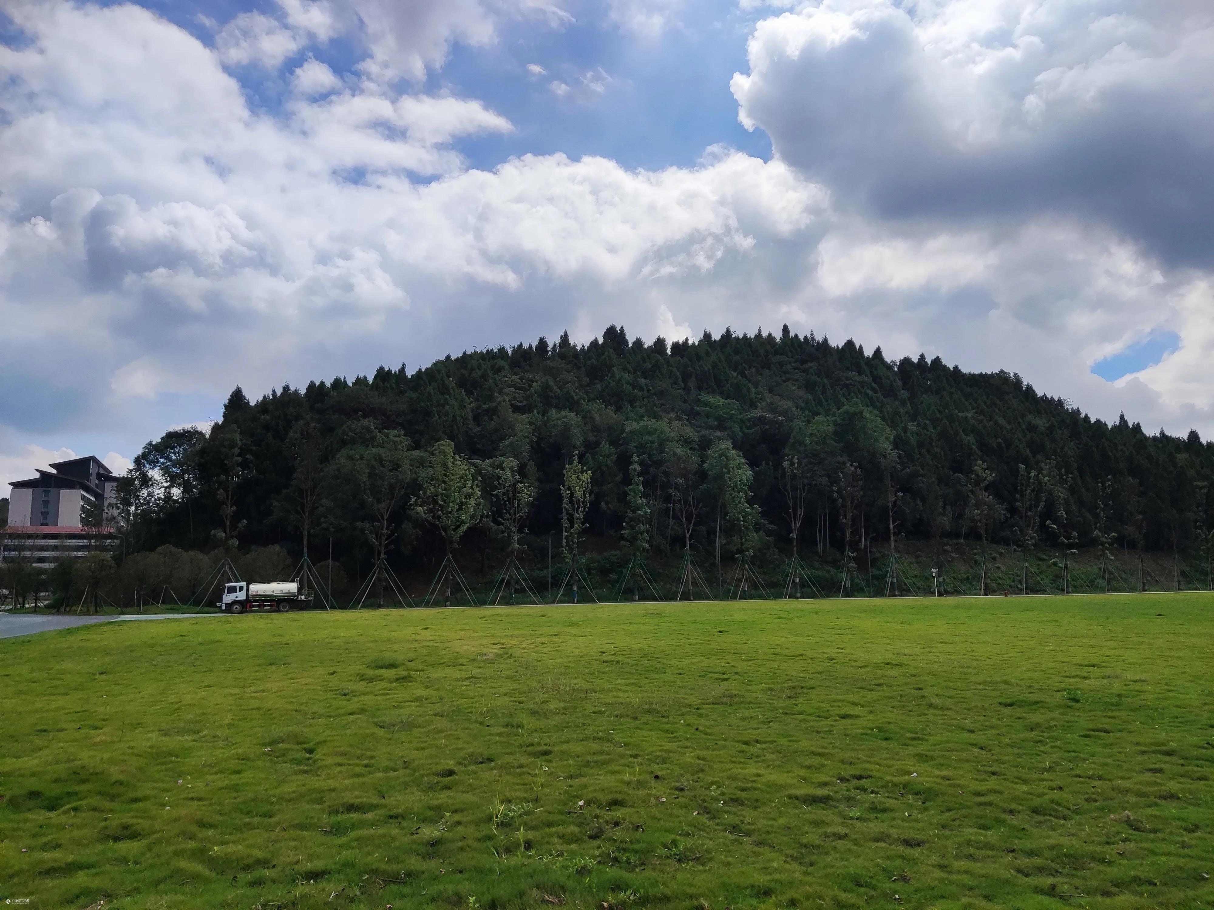 资阳户外足球场草坪多少钱一平方(四川音乐学院资阳临空经济区校区，成都美术学院)