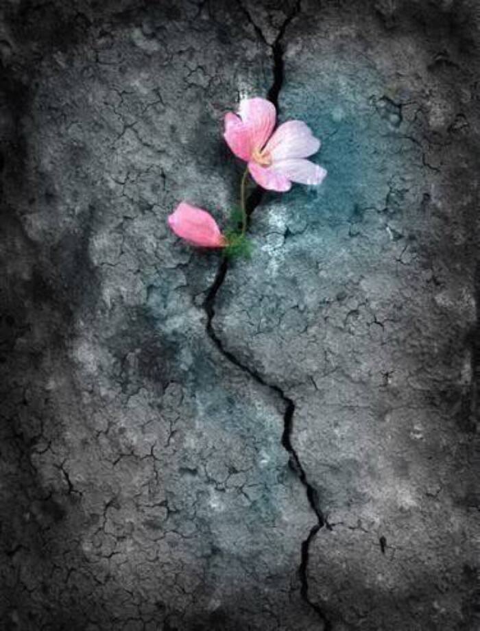 娱乐至死的结果是精神混乱，从德云社艺人热搜第一说起