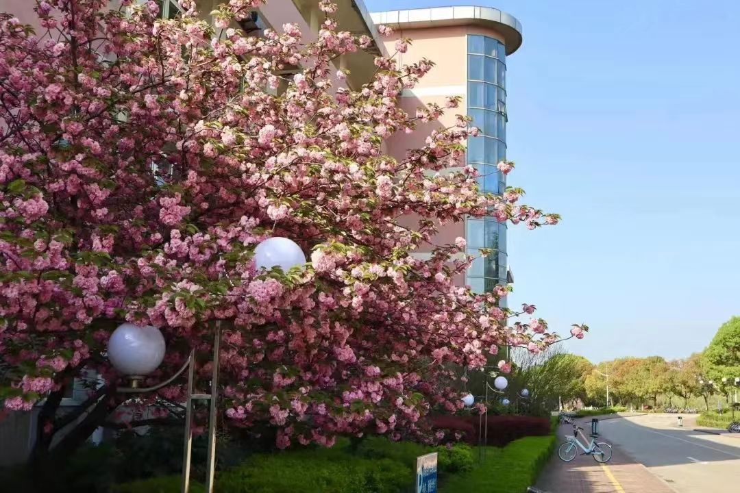 南京财经大学新闻学院（江苏省将全面提升这一经济发展）