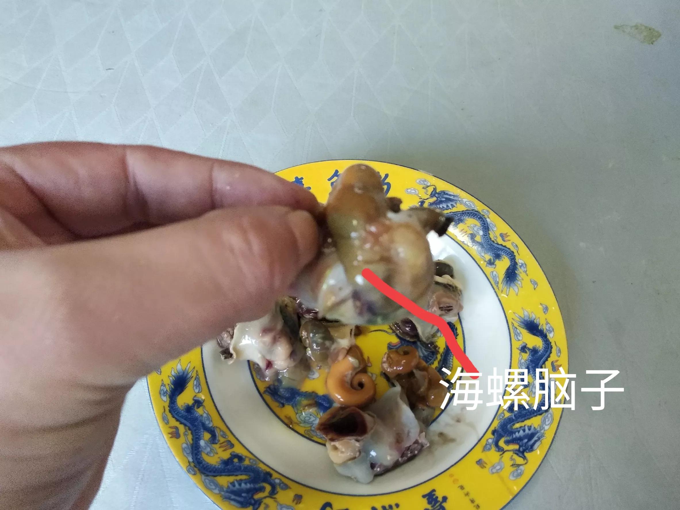 海螺的吃法哪个部位不能吃(食用海螺的注意事项)