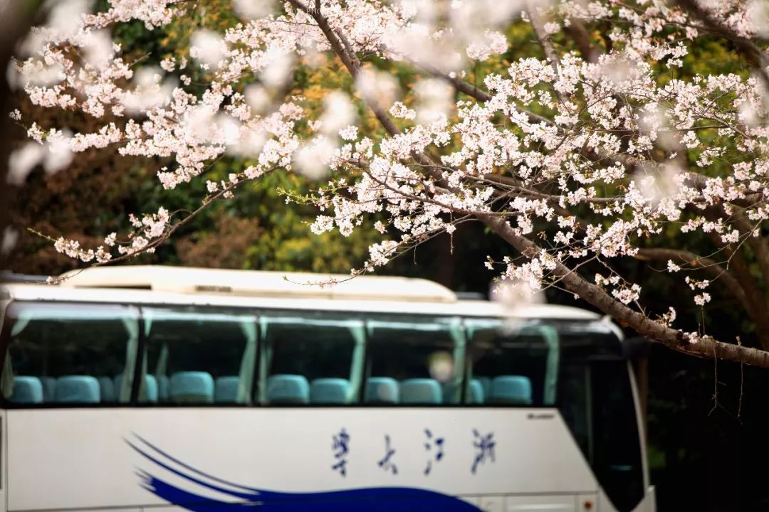 海纳江河，浙江大学诚邀全球英才依托申报优青项目（海外）！