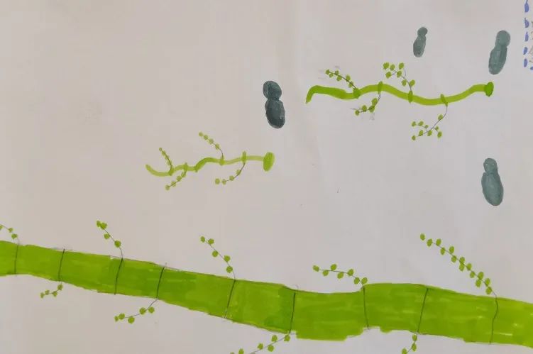 我爱我 从探索生命开始｜成都市双流区九江小学开展一系列活动