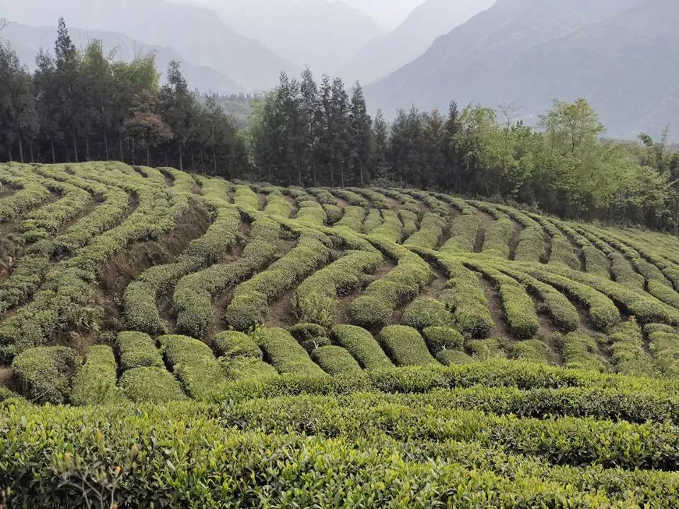 屏边彝族乡五个聚心聚力驱动彝乡治理新水平
