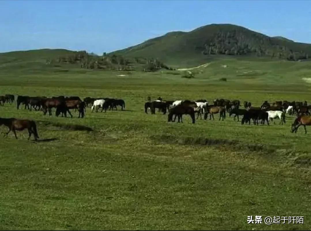 阿根廷国家男子足球队(拉美第二大国“阿根廷”现状，今天带你看看真实的阿根廷)