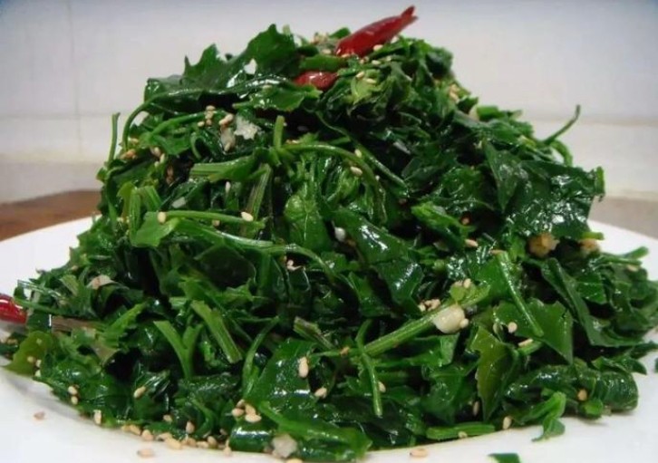 �Ѵ����ڻؼң�������δ����������16ζҰ��ͼ��