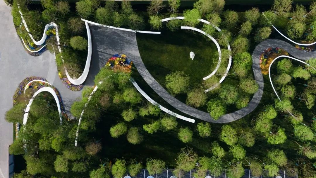 景观设计，“曲线”之美