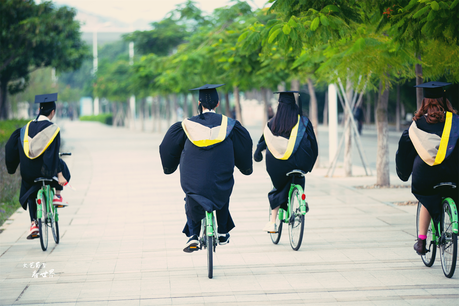 中国10所最美的大学，堪比5A景区，孩子们能在那里读书可真幸福