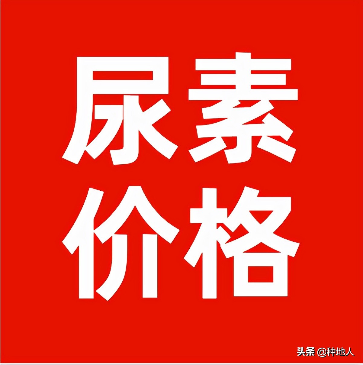 临沂今日尿素价「今日全国农用尿素最新价」