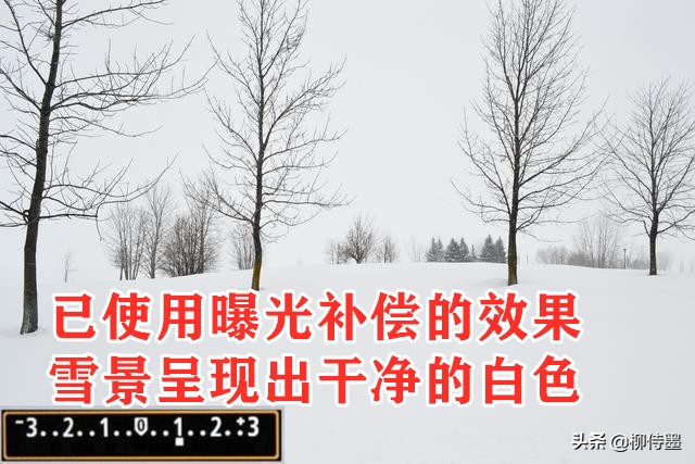 迎接2022年的第一场雪，学习3个摄影技巧，把雪景照片拍得更漂亮